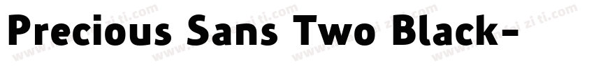Precious Sans Two Black字体转换